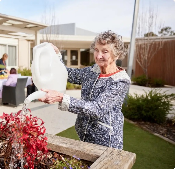 What is Mornington Aged Care and who does it cater to?